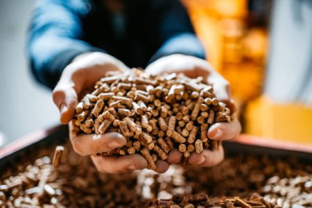 Harnessing the Power of Biomass Pellets: A Sustainable Energy Revolution