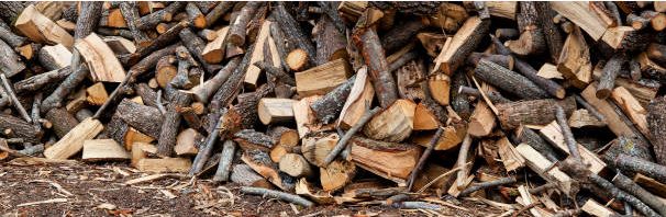 Turning Wood Waste into Energy: The Production of Biomass Pellets